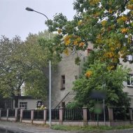 Dom na sprzedaż
